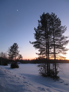 Talvimaisemaa Paltamon ja Kajaanin välillä 29.2.2020(Anu Piironen)