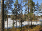 Aurinko sulattaa järven jäätä 18 lämpöasteen voimalla huhtikuun toiseksi viimeisellä viikolla.(Kuva: Anu Piironen)