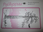 Pyällyspuu on postissa ja kiepsahtaa yläpystyyn kunhan ehtii lukijoille. 