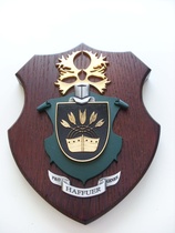 Aki Haverisen valmistama reliefikuva (kuva:Aki Haverinen)