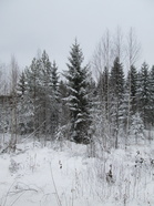 Kokouspäivänä Leppävirralla oli pilvinen, 8 asteen pakkaskeli.