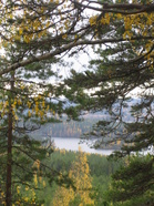 Maisema (Kuva:Anu Piironen)