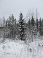 Kokouspäivänä Leppävirralla oli pilvinen, 8 asteen pakkaskeli.