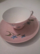 Hilkka Behmin vuonna 1969 maalaama posliinikuppipari, jonka hän on lahjoittanut 1970 Aino Töyrylle tämän 70-vuotislahjaksi.