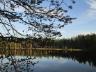 Kesämaisema Kainuussa(Kuva:Anupii)